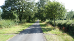 The Avenue to the Walcot Estate