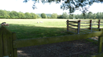 A field just outside the village