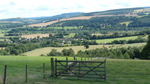 View from Oakley Mynd